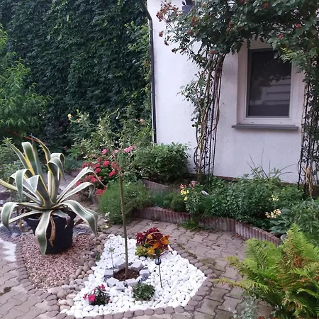 Altstadt Moni * Hoyerswerda